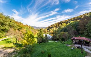 Domeniu în satul Căprioara - Poză 30