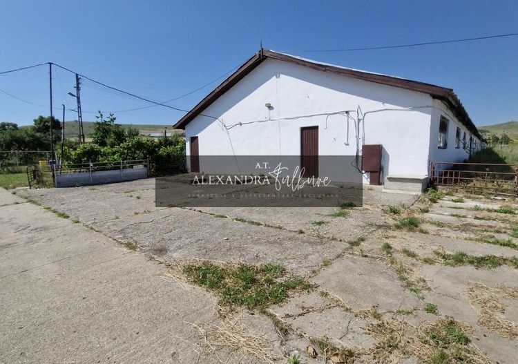 Ferma/ Hala industriala de vanzare, Bogata, Cluj - Poză 3