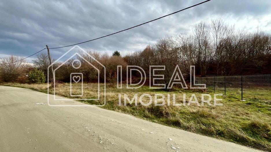 Teren extravilan 1030 mp, Cârțișoara - Poză 1