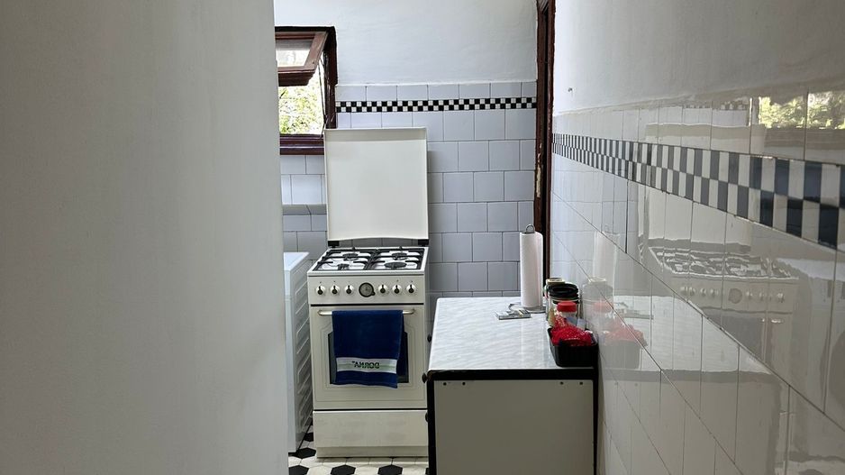 2 CAMERE DINICU GOLESCU | STIRBEI VODA - Poză 6