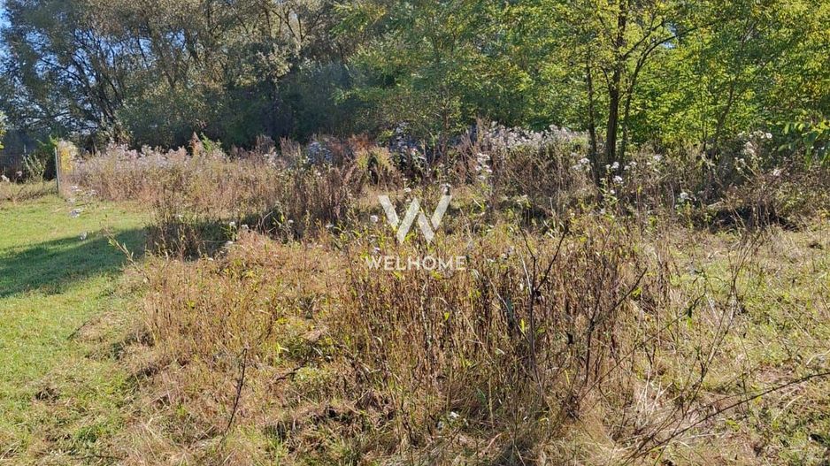 Teren de vanzare Daia Noua - Poză 2