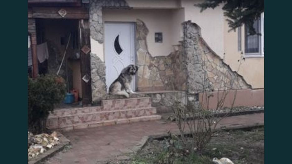 Vand casa Lazuri, Jud.SM - Poză 5