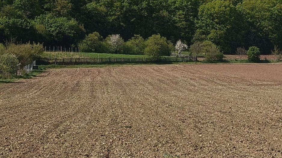 Teren intravilan, 1600 mp, utilitati in zona, Ampoita, Alba Iulia - Poză 1