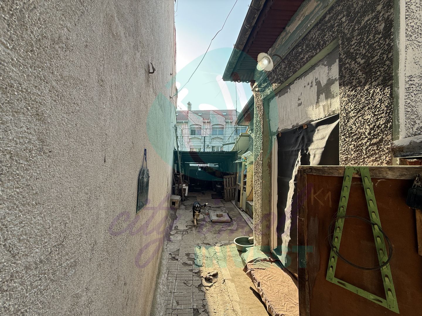 Casa singura in curte intre Calea Calarasilor si Pache Protopopescu - Poză 6