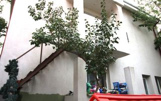 Casa de vanzare P+1+M Drumul Taberei Bucuresti - Poză 11