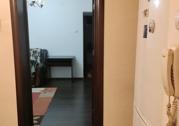 Apartament 2 camere George Enescu - parter - Poză 3