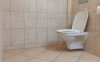 Inchiriere apartament trei camere, semidecomandat, Mosilor - Poză 14