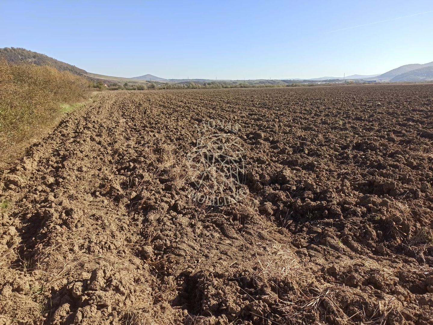 Teren 7500 mp-ideal agricultura, invetitie-Sarata - Poză 2