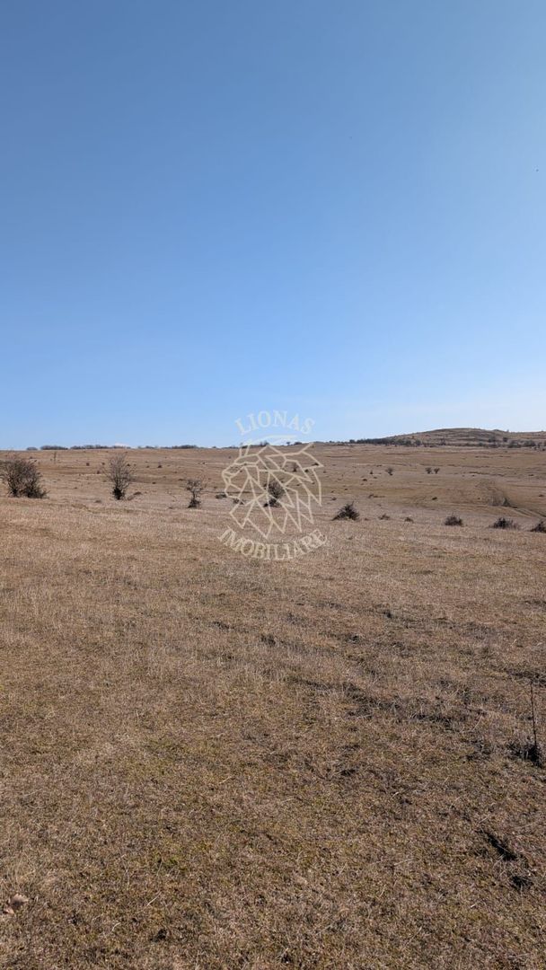 Teren 130.000 mp (13 ha)-Parcelabil-investitie-Zona Cighir - Poză 2