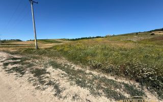Terenuri extravilane de vânzare în zona Tulbureni – 500 mp și 2.200 mp - Poză 1
