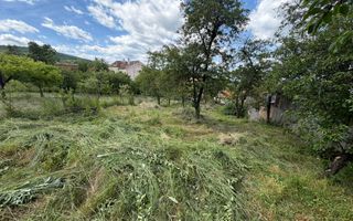 Teren intravilan  - Sat. Rod - Tilisca - Poză 1