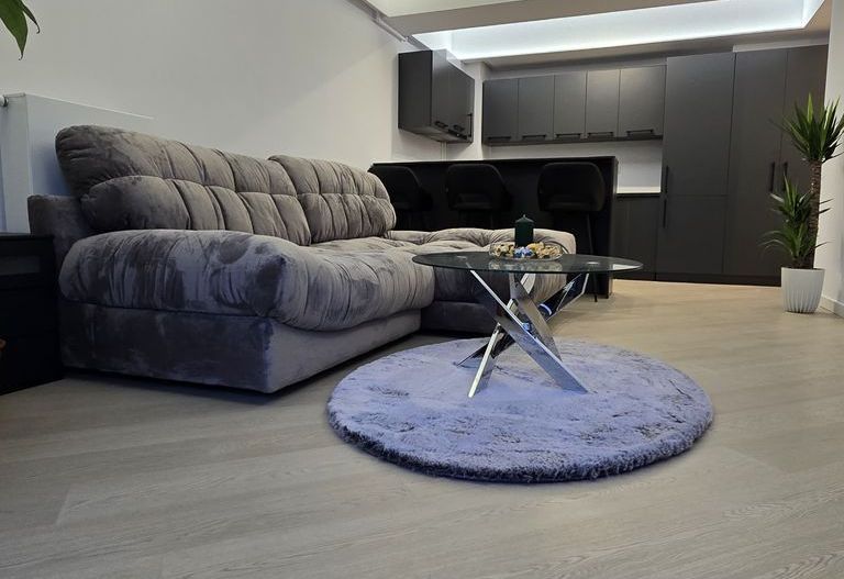 Apartament de inchiriat 2 camere - Cortina North - Poză 7