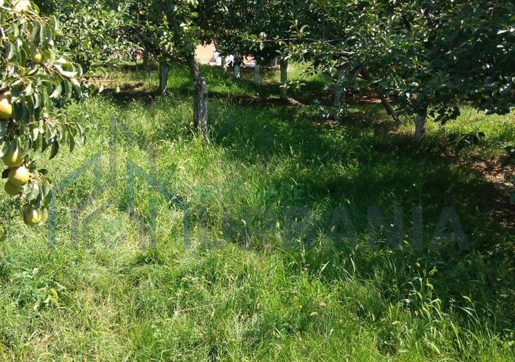 Teren intravilan de vanzare, 500 mp, Breazu - Rediu, Iasi - Poză 2