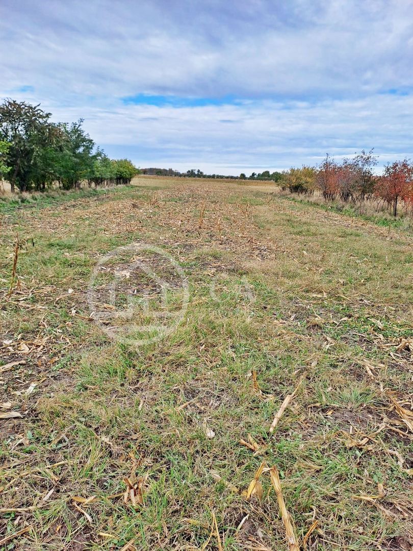 Teren intravilan de vanzare in Cefa, Bihor - Poză 1
