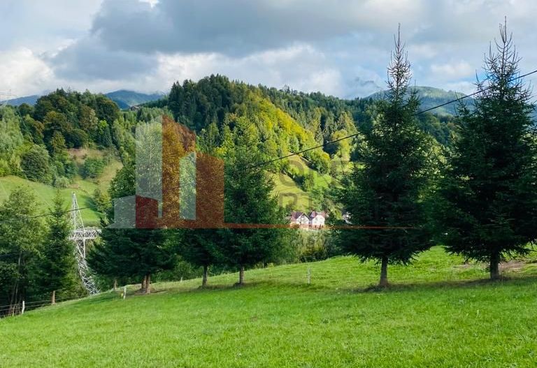 Teren deosebit Simon / Bran - Poză 2