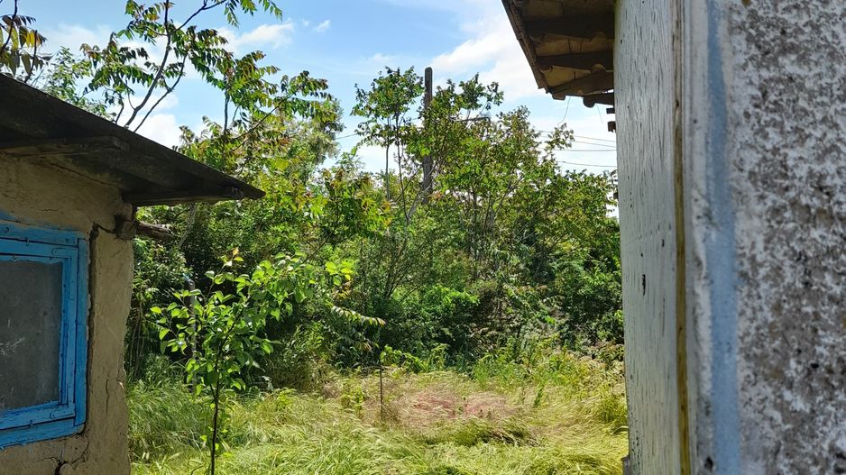 Casă cu teren de 1.470 mp de vânzare – Fântânele, Scânteiești - Poză 34