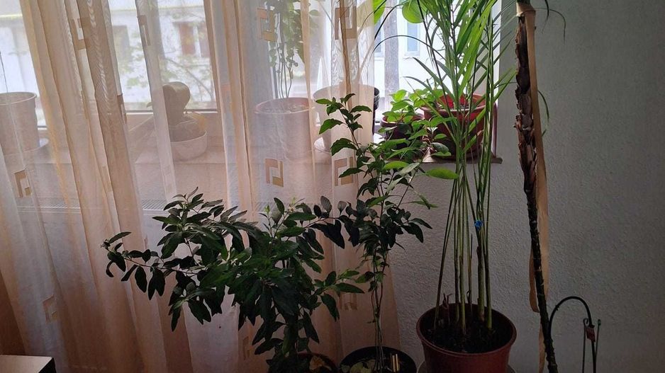 Apartament cochet 2 camere in apropiere de Metrou Crangasi - Poză 4