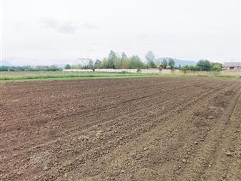 teren intravilan Stupini-Albinelor - Poză 7