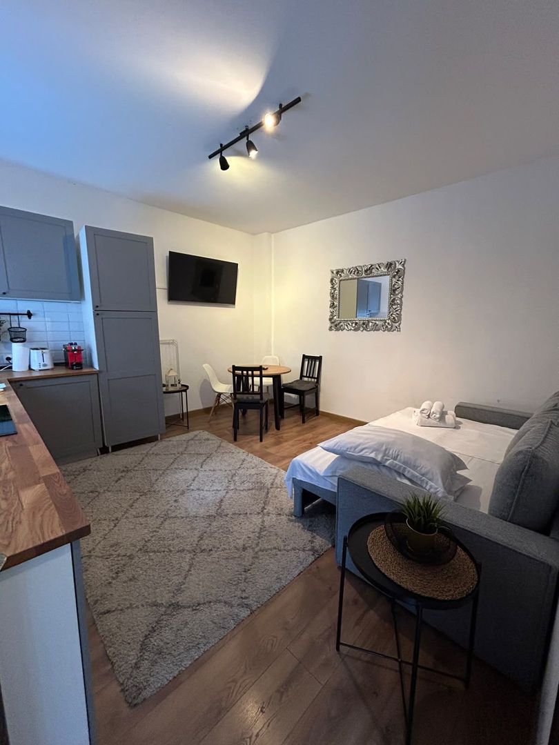 APARTAMENT 2 CAMERE OPENSPACE PARCUL CAROL - TINERETULUI - Poză 4