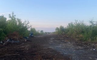 Teren Intravilan Dumbrăvița ,pretabil Duplex - Poză 4