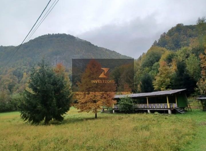 Teren de vis de vanzare in Remeti-Bihor-27p0 mp - Poză 1