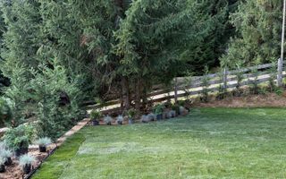 6 Case de vacanta localitatea Marisel jud Cluj la drumul Judetean DJ107P - Poză 10