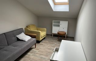 Pet-friendly, 2 camere, centrala proprie.