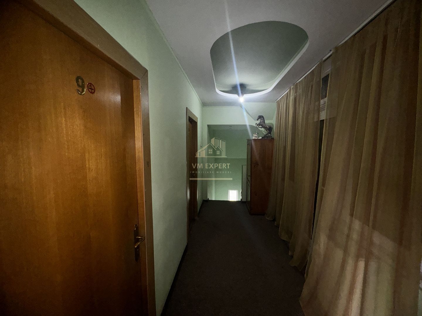 VILA - PENSIUNE CU RESTAURANT + SI TEREN 6406 MP, VALEA MARE PRAVAT, - Poză 47