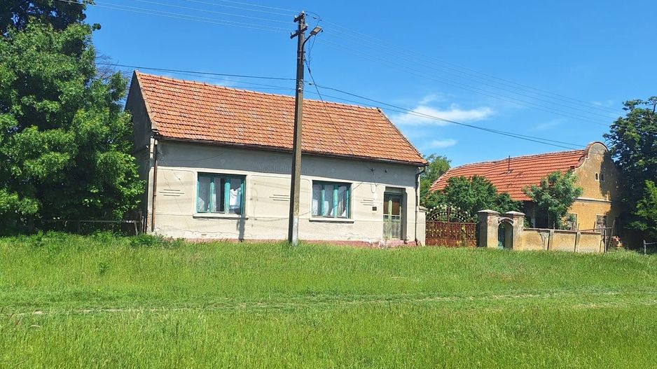 Teren vanzare-8000 m2-Cheveresu Mare -100 m front stradal - Poză 2