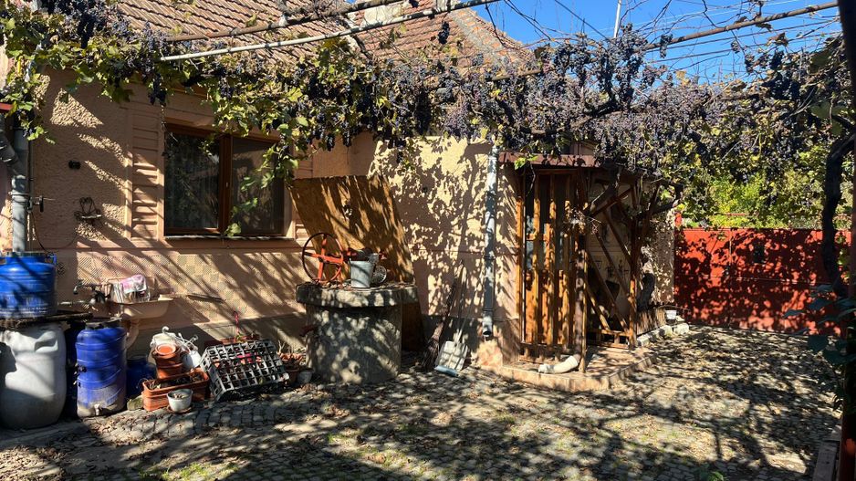 Casă de vânzare în Sânpetru Vechi - singur în curte, garaj, foișor - Poză 16