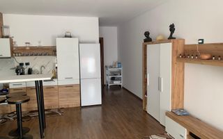 SPATIU DE INCHIRIAT IN MARGINEA - Poză 6