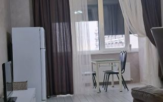 Apartament 1 dormitor + living | Centru | Lev Tolstoi 63/1 | Chirie - Poză 7