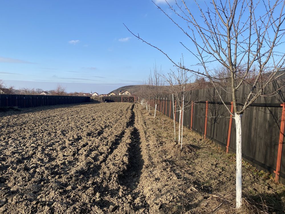 Sanpetru teren intravilan de 1350mp ingradit, 46 euro/mp - Poză 2