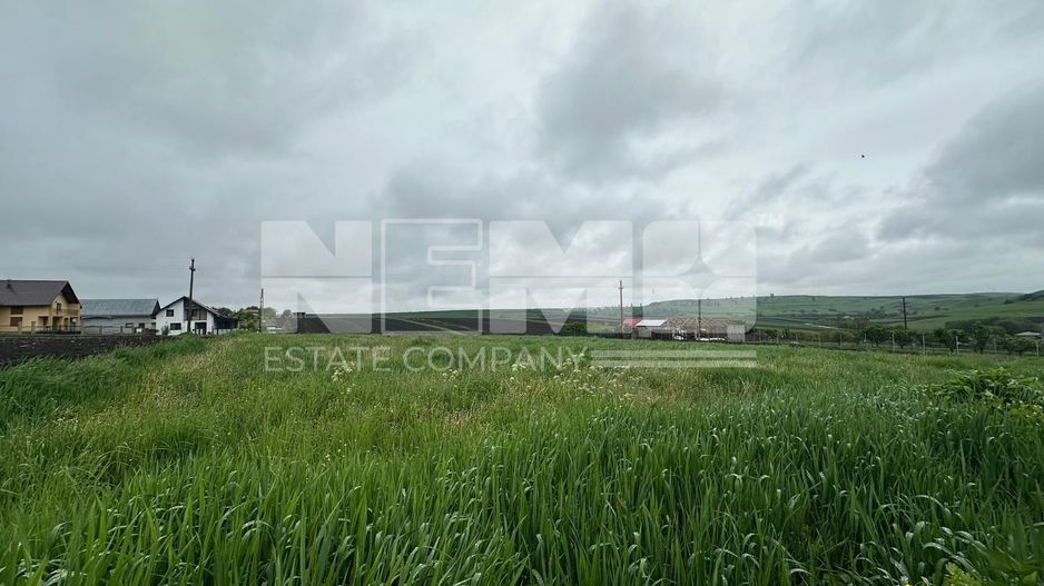 Teren Intravilan de Vanzare | Moara Carp, Suceava | Pret: 95.000€ - Poză 3