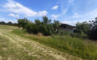 Teren de 11.000 mp cu casă și teren agricol | La 40 km de București | - Poză 6