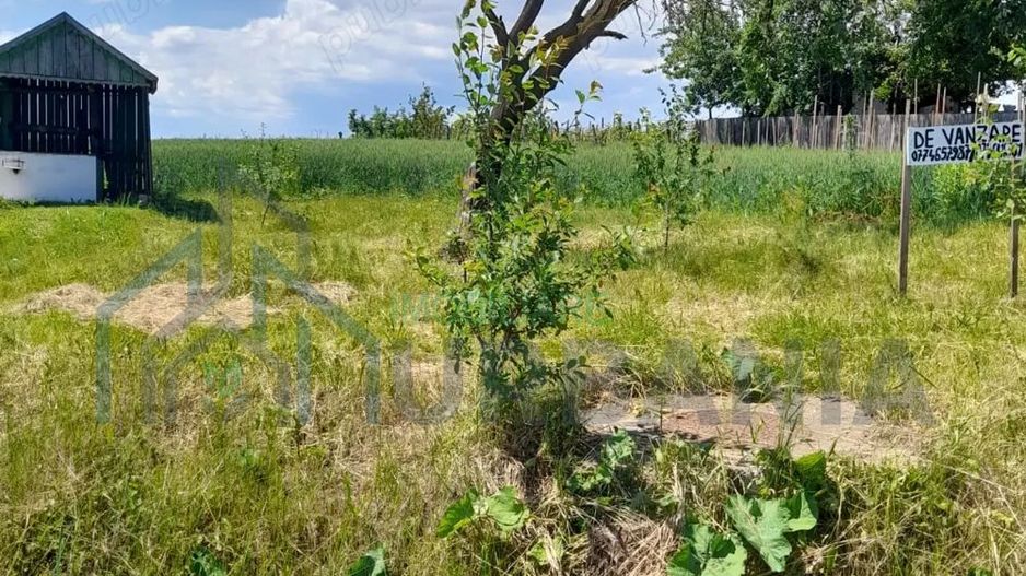 Teren constructie casa - Poză 3