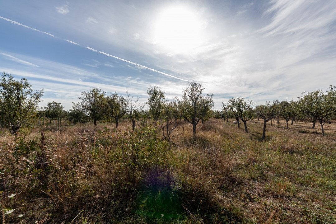 Teren 2.847 mp in comuna Cuca, AG - Poză 1