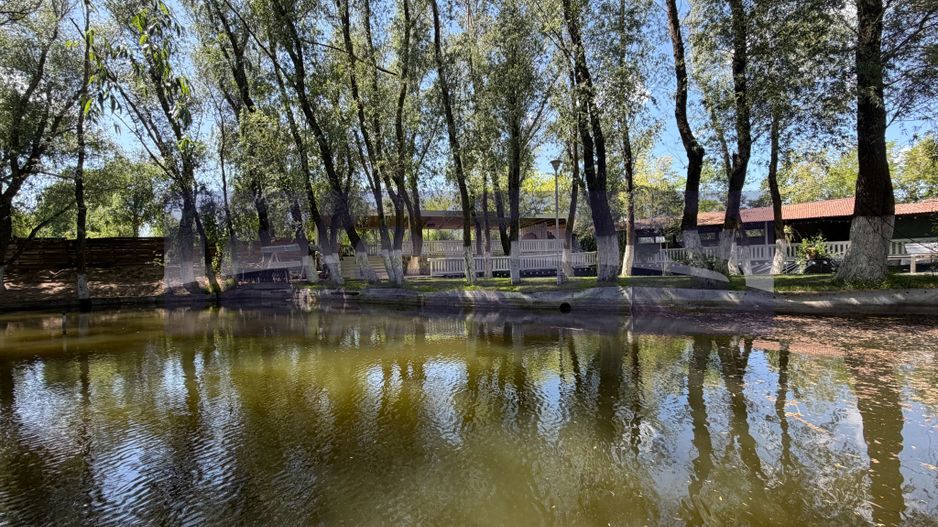 DOMENIU SPECTACULOS DE 25.000 MP | 4 IAZURI |  LIVADA | SPATIU PENTRU EVENIMENTE - Poză 1