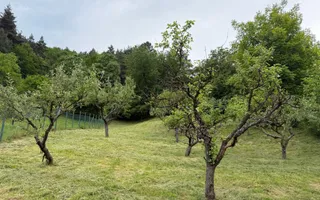 Casă rustică de vânzare în Tilișca, (Marginimea Sibiului) - Poză 24