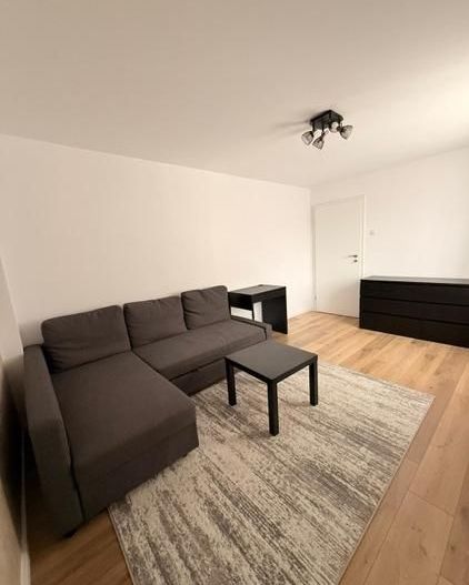APARTAMENT RENOVAT 2 CAMERE / ZONA LUJERULUI - Poză 10