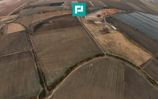 Teren arabil 68,800mp Zimandu Nou - Poză 3