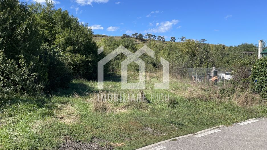 Teren Intravilan 1115mp - Juc-Herghelie - Poză 3