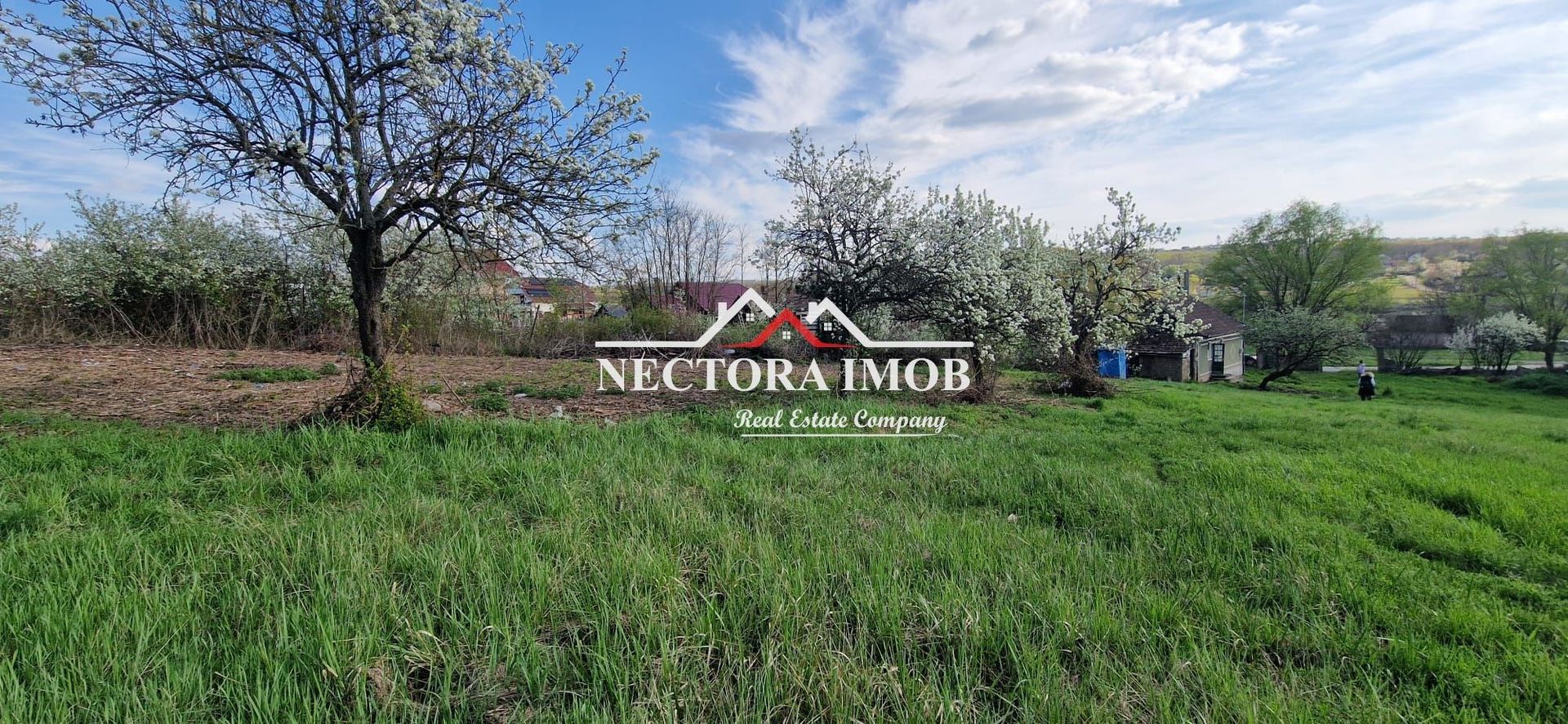 NECTORA IMOB-Casa 70 mp cu teren 951 mp, front 16 mp, Paleu Centru - Poză 1