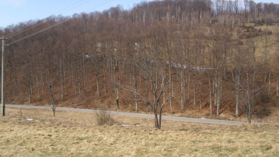 Teren intravilan Rosia, 12 000 mp, cu proiect aprobat. Comision 0. - Poză 8