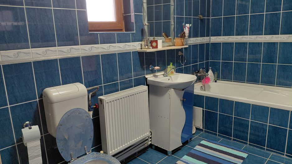 Casă Spațioasă P+1+M, 265 mp Utili, 1000 mp Teren – Toate Utilitățile, Vânători - Poză 22