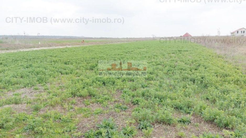 Teren de vanzare Cocani, Crevedia, langa padure Dambovita - 17 km de Bucuresti - Poză 11