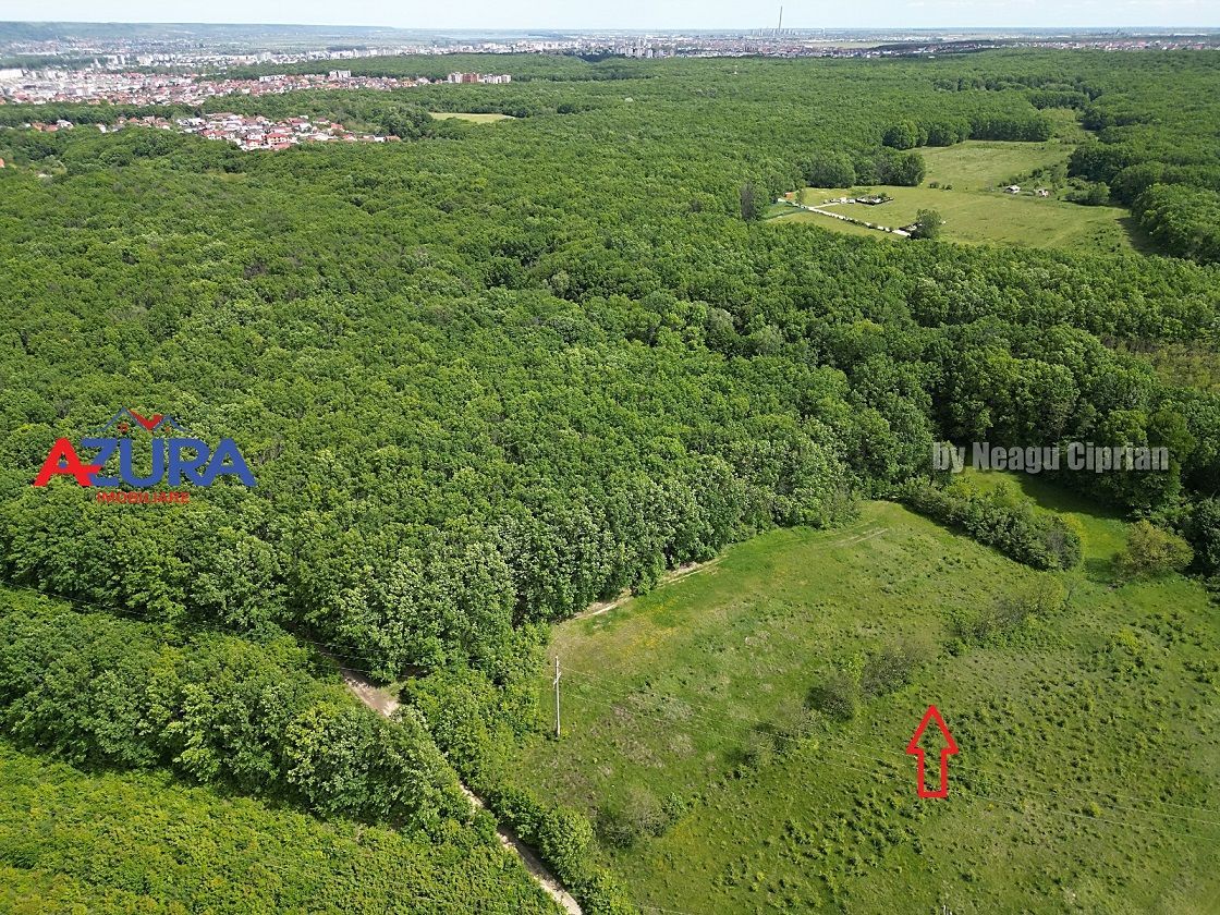Vanzare teren Balotesti, la padure - Poză 3