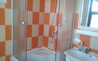 Inchiriez mansarda la casa - Poză 8