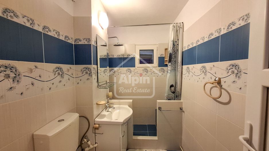 Suprafata Generoasa I Zona Gemenii - Poză 4