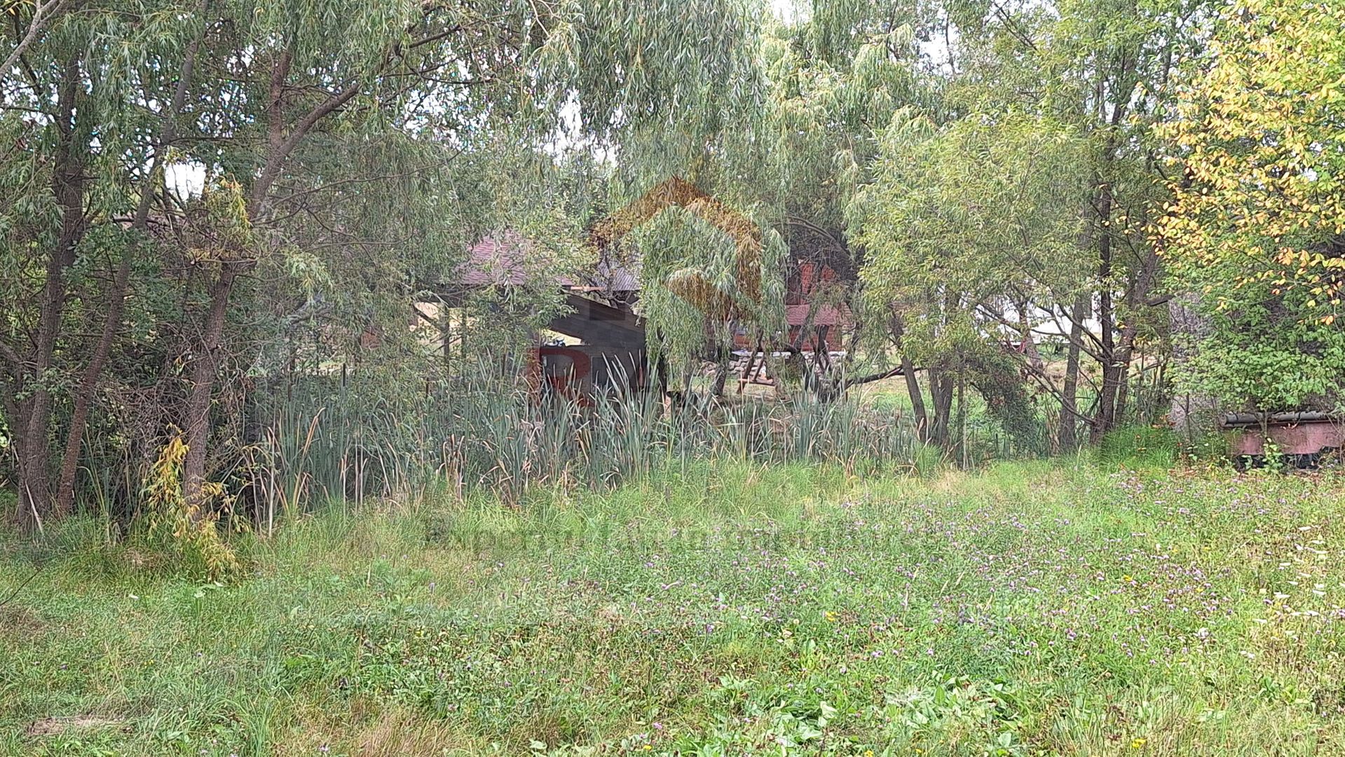 VANZARE ANSAMBLU CASUTE BRADULET ARGES - Poză 8